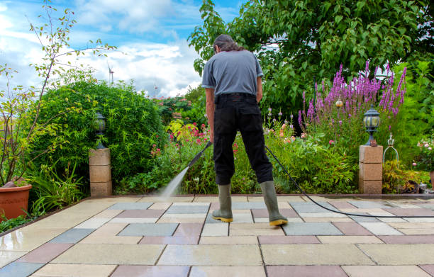 Best Animal Enclosure Cleaning  in Crockett, CA